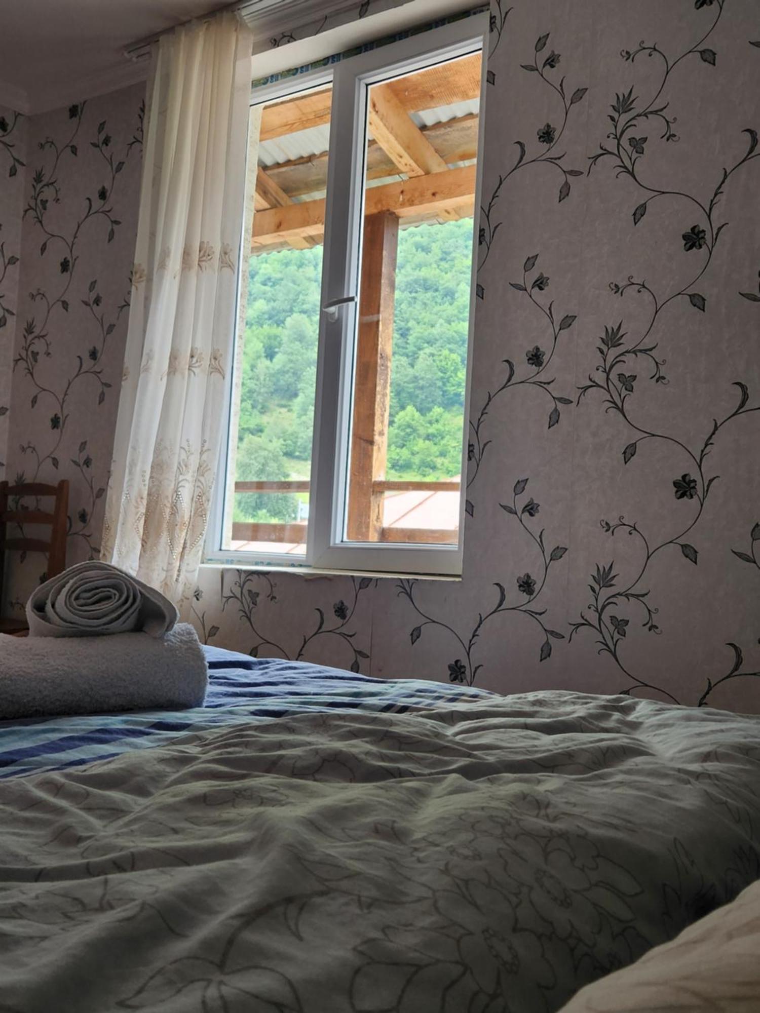 Iason Guest House In Mazeri Mestia Pokoj fotografie